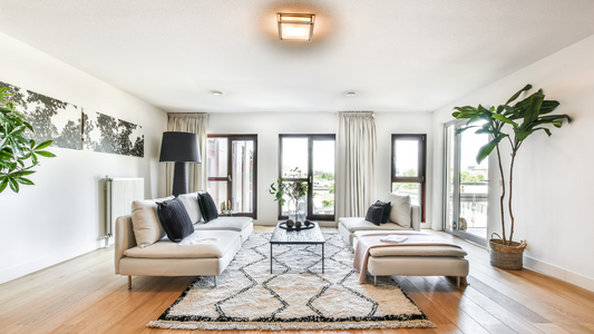 nice spacious living room