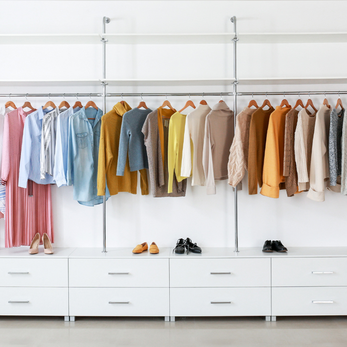 Closet Bliss: Smart Organizing for Every Space