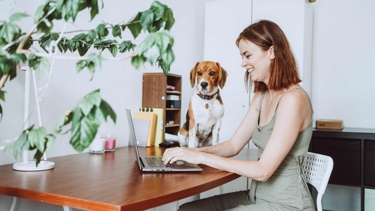 happy woman working from home