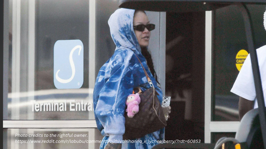 Rihanna with Labubu Macarone Keychain on her bag