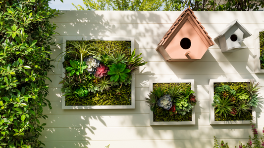 beautiful wall garden