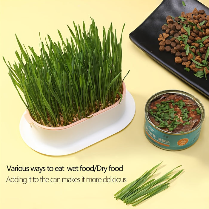 1pc, Hydroponic Grass Growing Pot For Improved Digestion And Health - Includes Greenhouse Grow Box (Seeds Not Included)