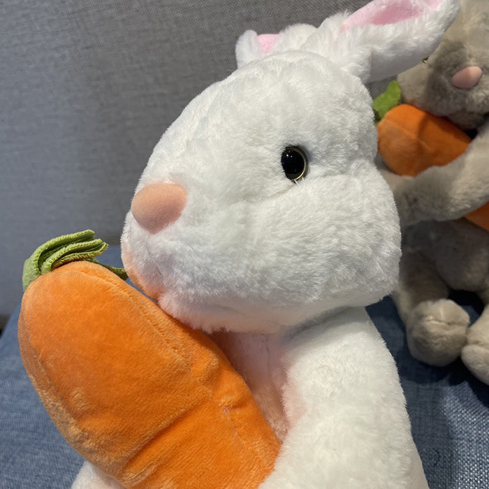 1pc/2pcs Easter Dog Toy Cute Cartoon Hug Carrot Rabbit Dog Plush Toy - Pattern: Cartoon; Breed Recommendation: All Breed Sizes; Material: Fabric