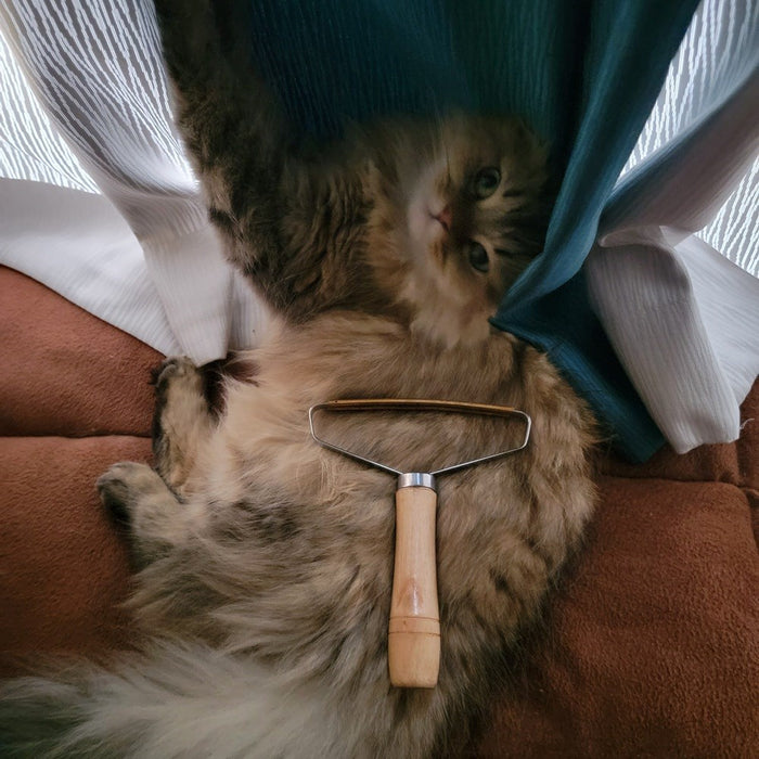 Say Goodbye to Pet Hair: Effective Grooming Brush for Cats and Dogs