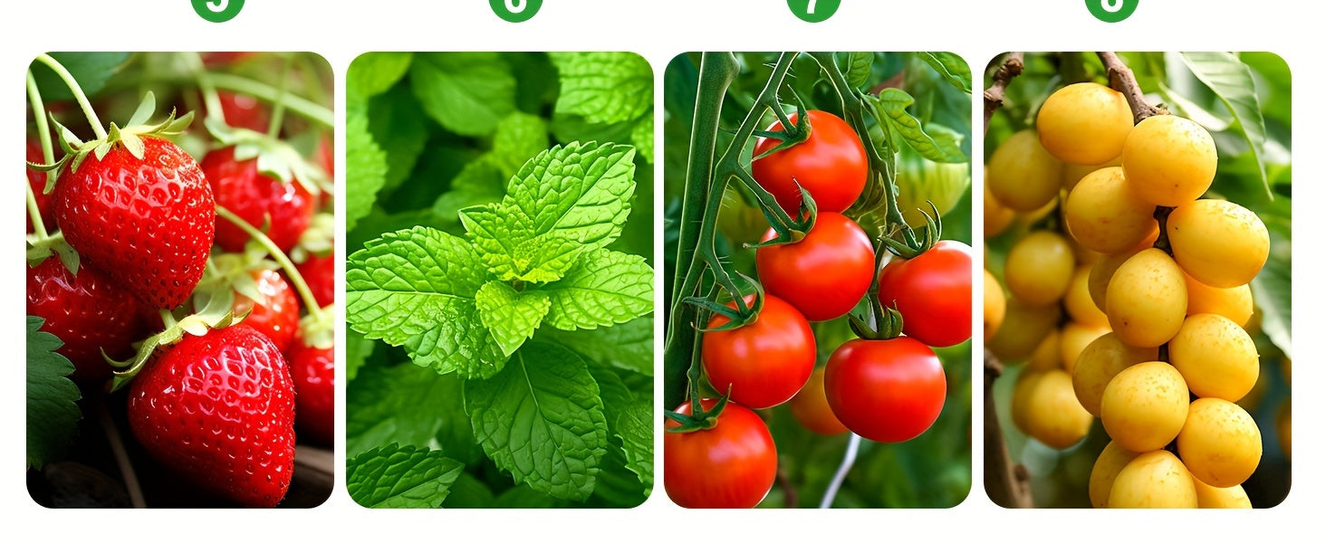 Seed Starter Disc with Growth Lamp, 2 Sets of Seed Germination Kits, with Adjustable Humidity Dome, Seedling Starter Disc with Heightening Lid, 8 Full Spectrum LED Bulbs for Indoor Plants, Mini Greenhouse for Seed Germination