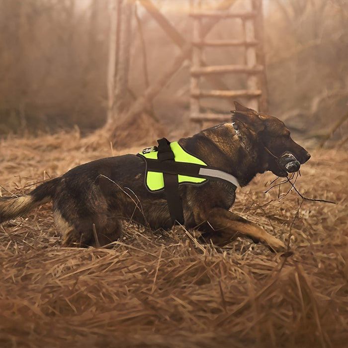 Reflective No-Pull Dog Harness with Breathable Design and Handle for Control and Comfort