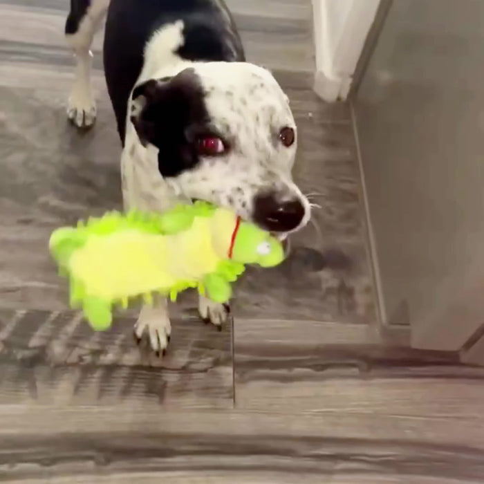 Interactive Plush Dog Toy with Squeaker for Chew & Molar Training - Promotes Playtime & Dental Health