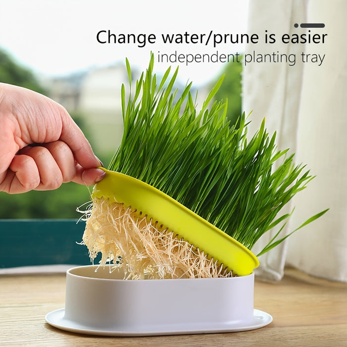 1pc, Hydroponic Grass Growing Pot For Improved Digestion And Health - Includes Greenhouse Grow Box (Seeds Not Included)