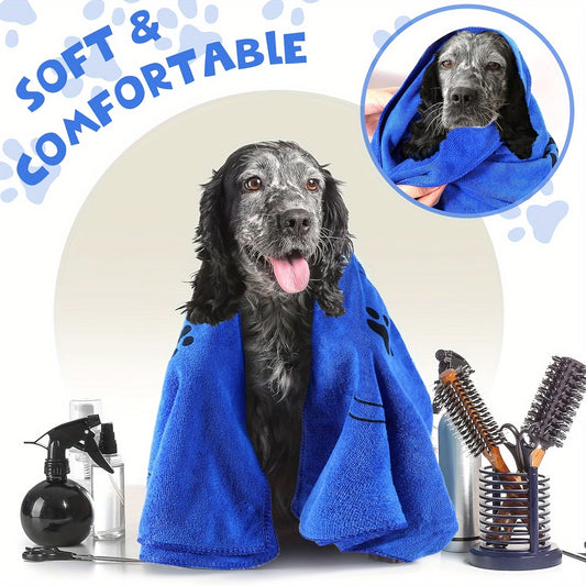 Spring Cleaning for Pet Parents: Creating a Fresh & Cozy Home with Your Furry Friend