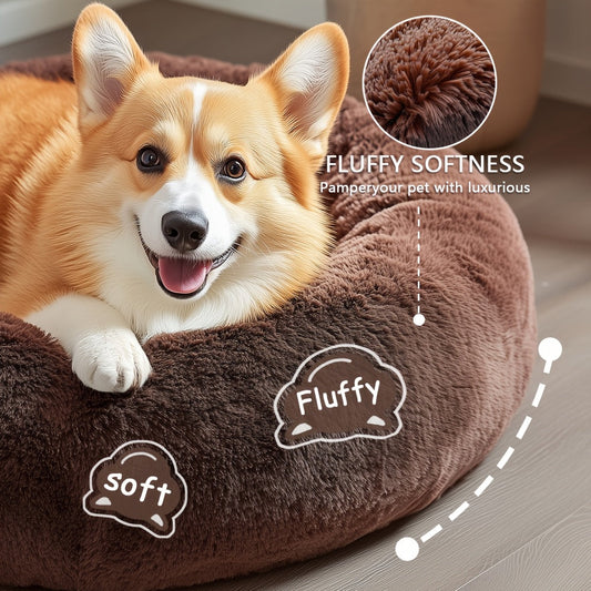 Stress-Free Pets: Night & Day