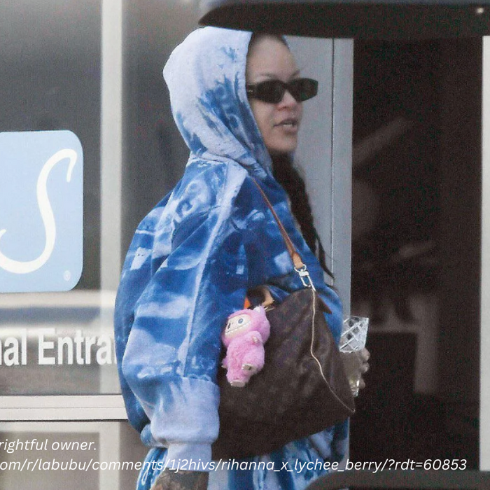 Rihanna with Labubu Macarone Keychain on her bag