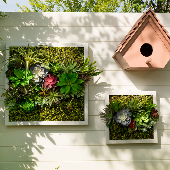 beautiful wall garden