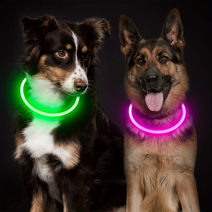 Rechargeable LED Dog Collar with Anti-Loss Feature, Bright Night Light for Dogs