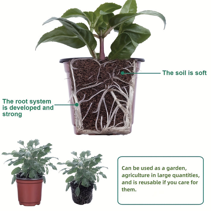 50pcs, Plastic Planter Pots For Indoor And Outdoor Plants, Lightweight Plastic Plant Pots For Seed Starting And Cultivation | Durable, Affordable, Ideal For Seed Germination And Flower Cultivation | Versatile Sizes | Extra La