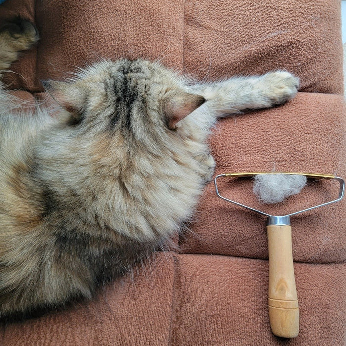 Say Goodbye to Pet Hair: Effective Grooming Brush for Cats and Dogs