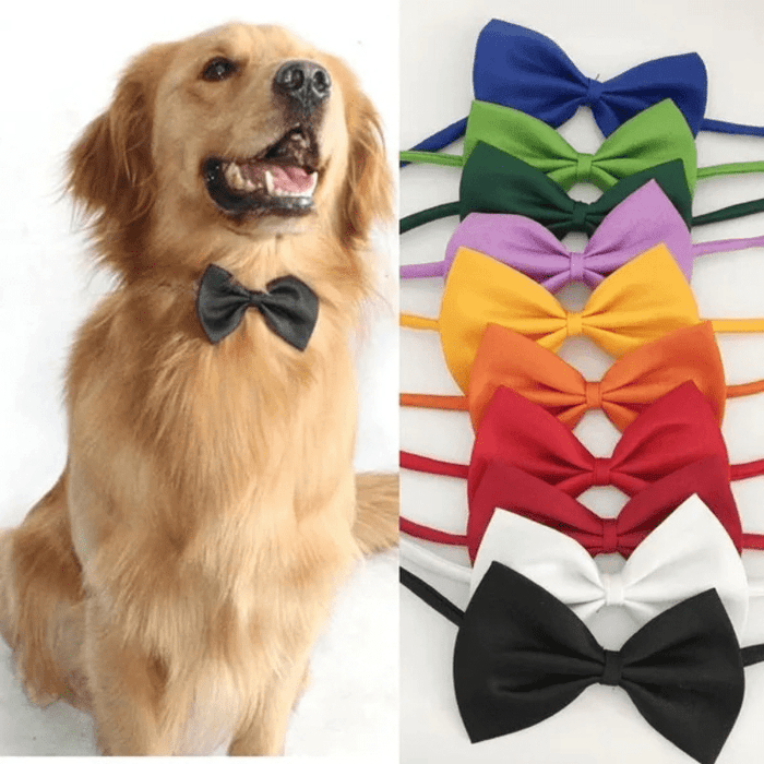 Chic Adjustable Pet Bow Tie Collar - Durable Polyester, Fits Small to Large Dogs & Cats