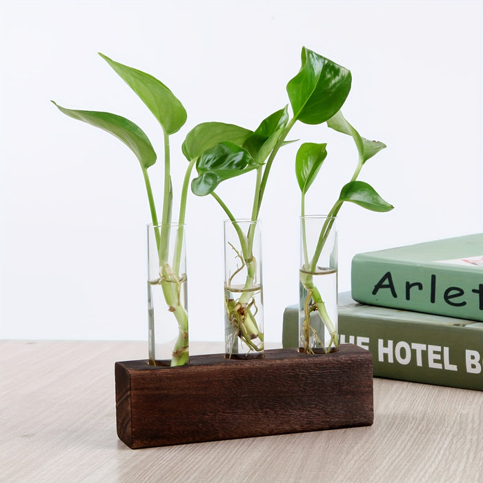 Glass Plant Propagation Station With 6 Test Tubes, For Plants In Home Office, Garden, Living Room, Bedroom, Glass Container For Plants, Gift For Ladies