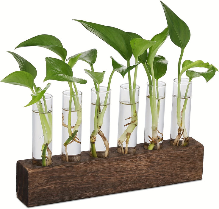 Glass Plant Propagation Station With 6 Test Tubes, For Plants In Home Office, Garden, Living Room, Bedroom, Glass Container For Plants, Gift For Ladies