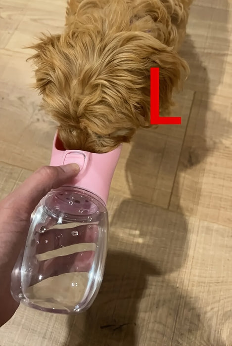 1pc Leak-Proof Portable Dog Water Bottle For Outdoor Adventures
