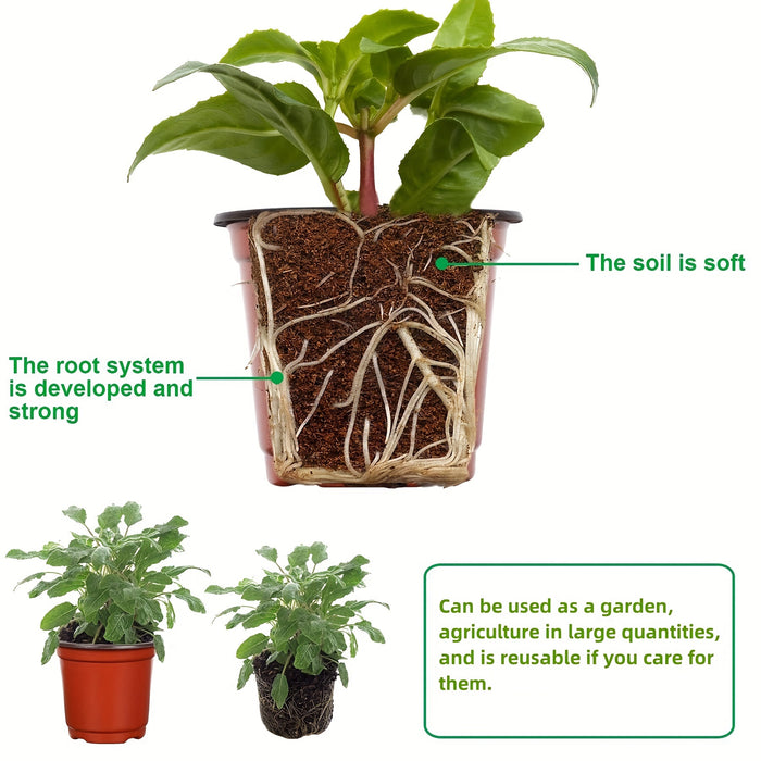 50pcs, Plastic Planter Pots For Indoor And Outdoor Plants, Lightweight Plastic Plant Pots For Seed Starting And Cultivation | Durable, Affordable, Ideal For Seed Germination And Flower Cultivation | Versatile Sizes | Extra La