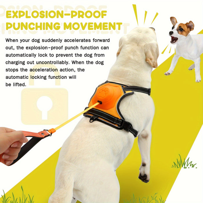2 in 1 Dog Harness For Large Dogs with Retractable Dog Leash [Auto-Lock Function]