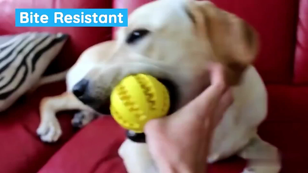 1pc Interactive Rubber Chew Toy for Small Dogs: Durable & Tooth-Cleaning Ball for Puppy Playtime