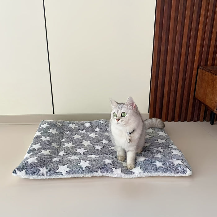 Thickened Warm Plush Blanket for Pets, Suitable for Cats And Dogs During Autumn And Winter.