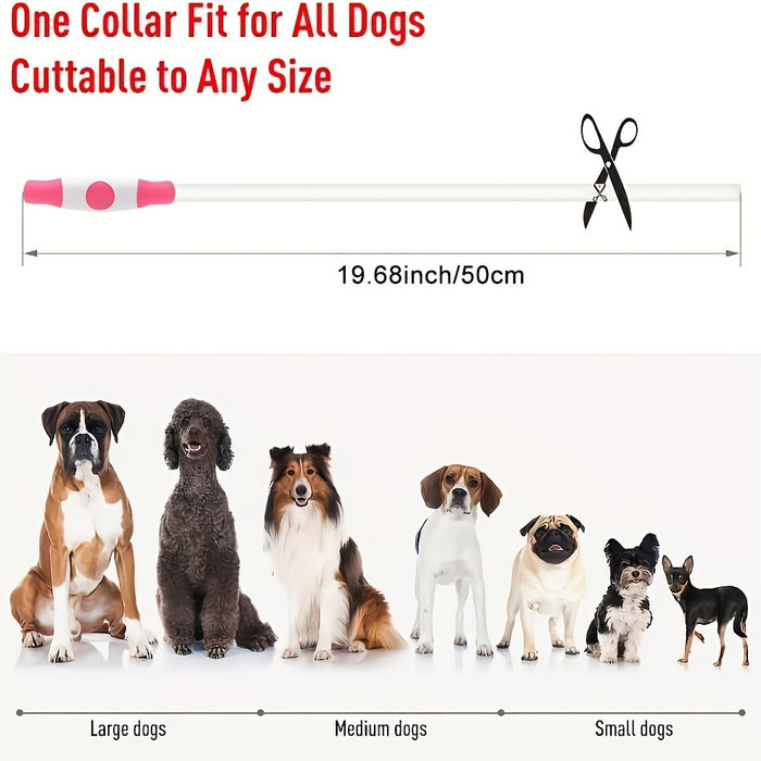 Rechargeable LED Dog Collar with Anti-Loss Feature, Bright Night Light for Dogs