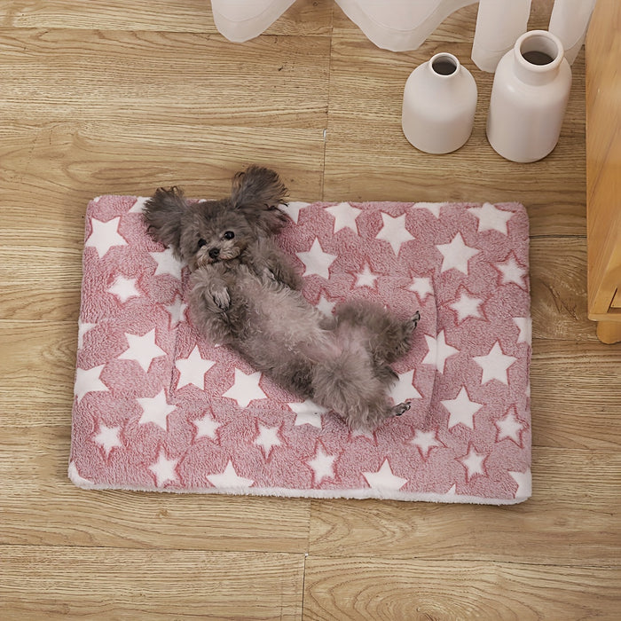 Thickened Warm Plush Blanket for Pets, Suitable for Cats And Dogs During Autumn And Winter.