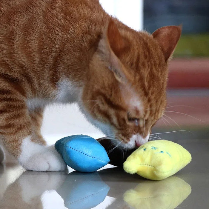 1pc Cat Design Cat Teaser Toy Containing Squeaky Plush Pillow Toy Interactive Pet Supply