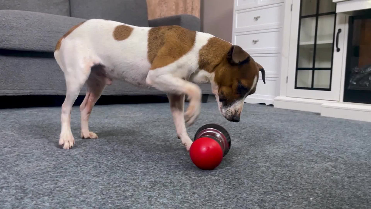 1pc Dogs Toy To Hide Food, Slow Feeding Toy, Ball-shaped Toys, Enjoy Interactive And Educational Dog Toys Christmas Gift