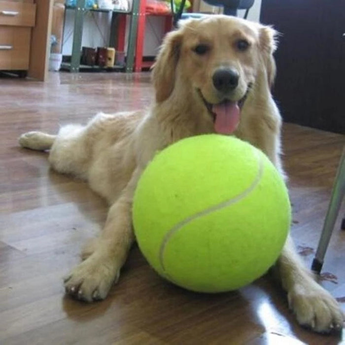 1pc Interactive Dog Toy - 24cm/9.5in Pet Tennis Ball For Training And Playtime
