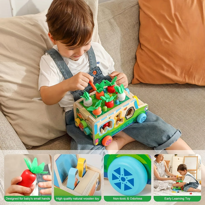 Educational Toys for 0 1 2 3 Year Old Boys And Girls, Carrots Wooden Shape Sorting Toys W Vegetables & Farm Animals Blocks, Christmas And Birthday Gift for Toddlers