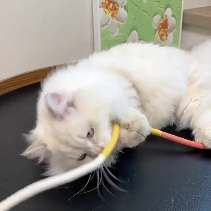 1pc Durable Cat Bite Rope Toy:  Interactive Cat Teeth Grinding Rope for Indoor Cats