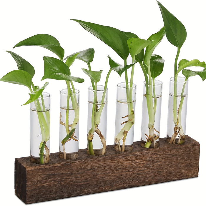 Glass Plant Propagation Station With 6 Test Tubes, For Plants In Home Office, Garden, Living Room, Bedroom, Glass Container For Plants, Gift For Ladies