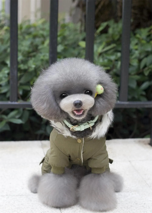 Pet Dog Clothes Winter Warm Dog Green Coat Jumpsuit Thicken Pet Clothing For Yorkshire Teddy Dogs Costume Puppy Clothes Jackets