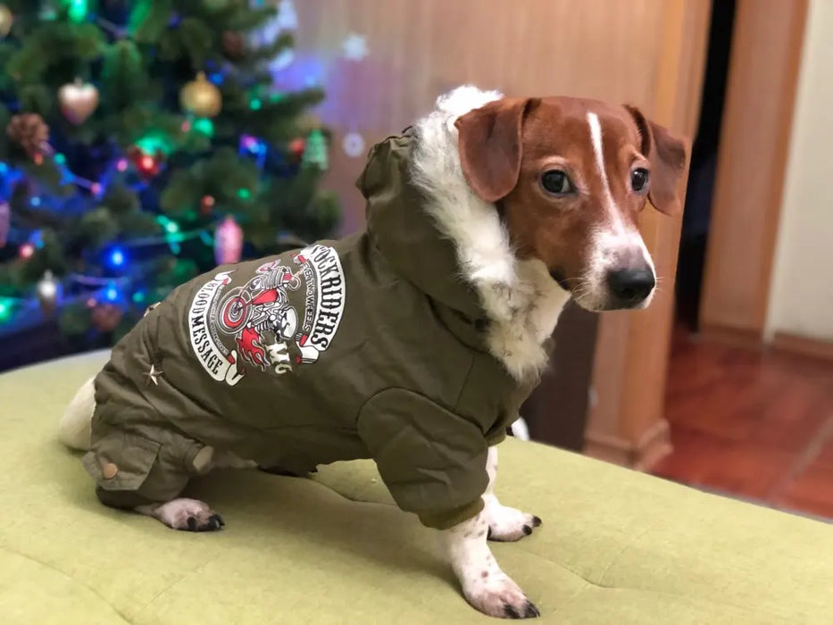 Pet Dog Clothes Winter Warm Dog Green Coat Jumpsuit Thicken Pet Clothing For Yorkshire Teddy Dogs Costume Puppy Clothes Jackets