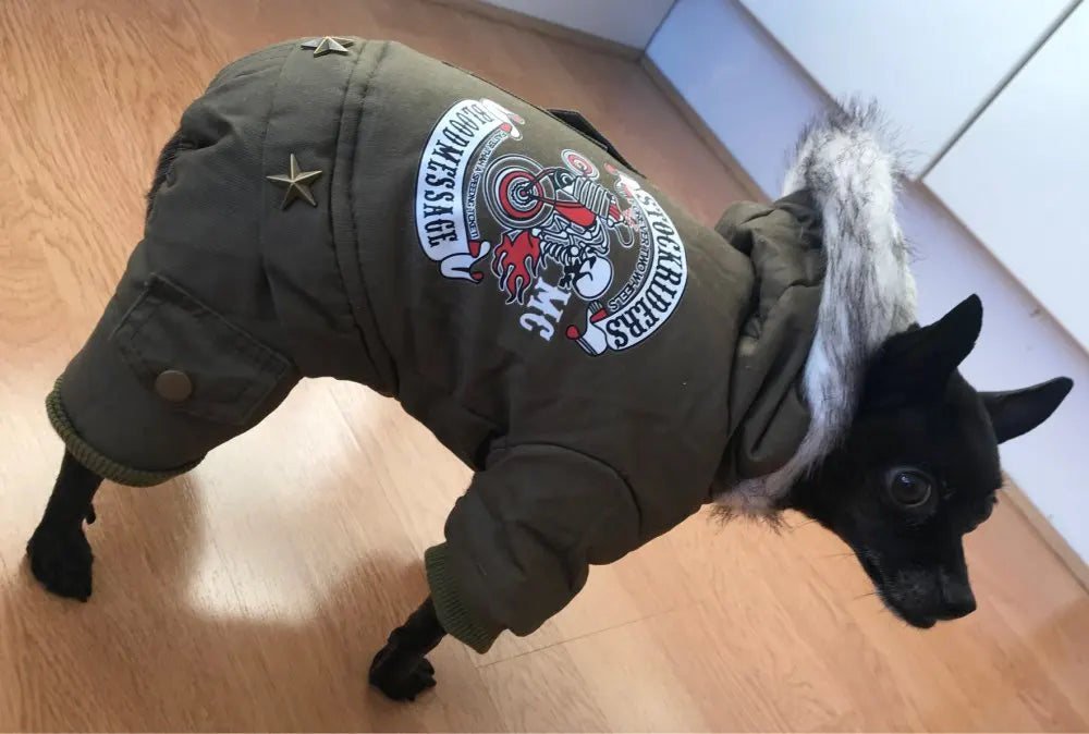 Pet Dog Clothes Winter Warm Dog Green Coat Jumpsuit Thicken Pet Clothing For Yorkshire Teddy Dogs Costume Puppy Clothes Jackets