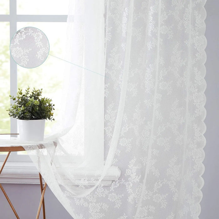 White lace curtain beside a plant on a windowsill