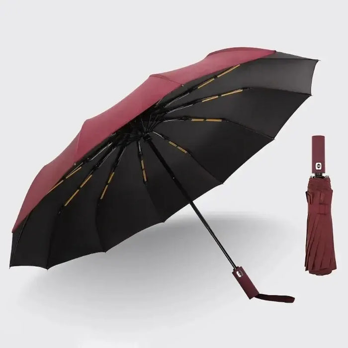 12 Bone Black Glue Fully Automatic Folding Umbrella