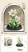 White lily bouquet with dome and colour box, 162 pieces