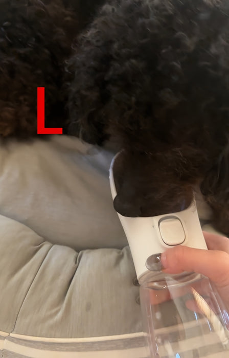 1pc Leak-Proof Portable Dog Water Bottle For Outdoor Adventures