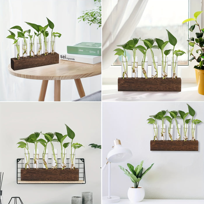 Glass Plant Propagation Station With 6 Test Tubes, For Plants In Home Office, Garden, Living Room, Bedroom, Glass Container For Plants, Gift For Ladies