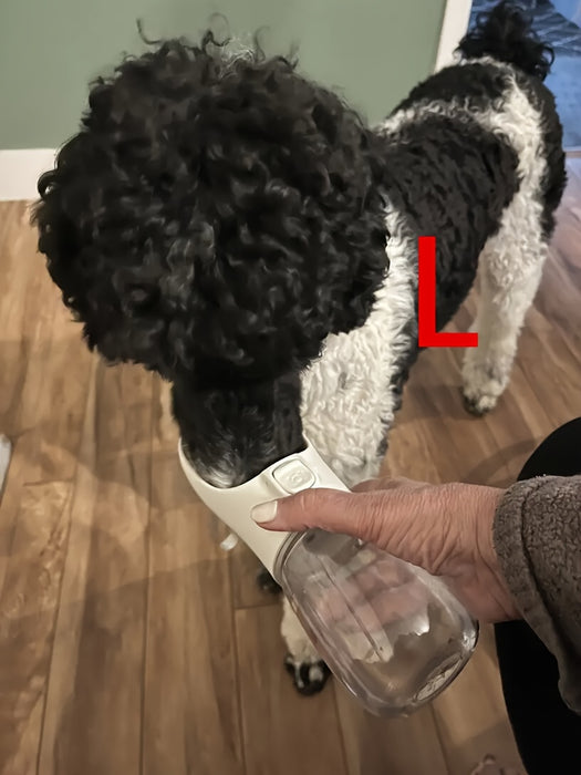 1pc Leak-Proof Portable Dog Water Bottle For Outdoor Adventures