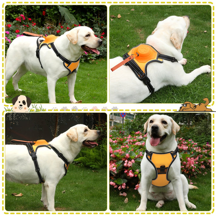 2 in 1 Dog Harness For Large Dogs with Retractable Dog Leash [Auto-Lock Function]