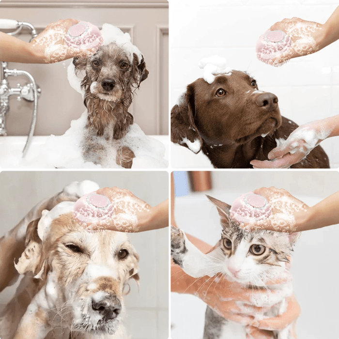 Silicone Pet Grooming Brush with Shower Gel Dispenser for Dogs and Cats