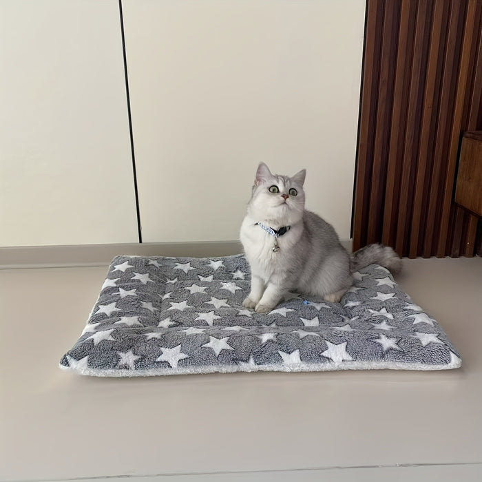 Thickened Warm Plush Blanket for Pets, Suitable for Cats And Dogs During Autumn And Winter.