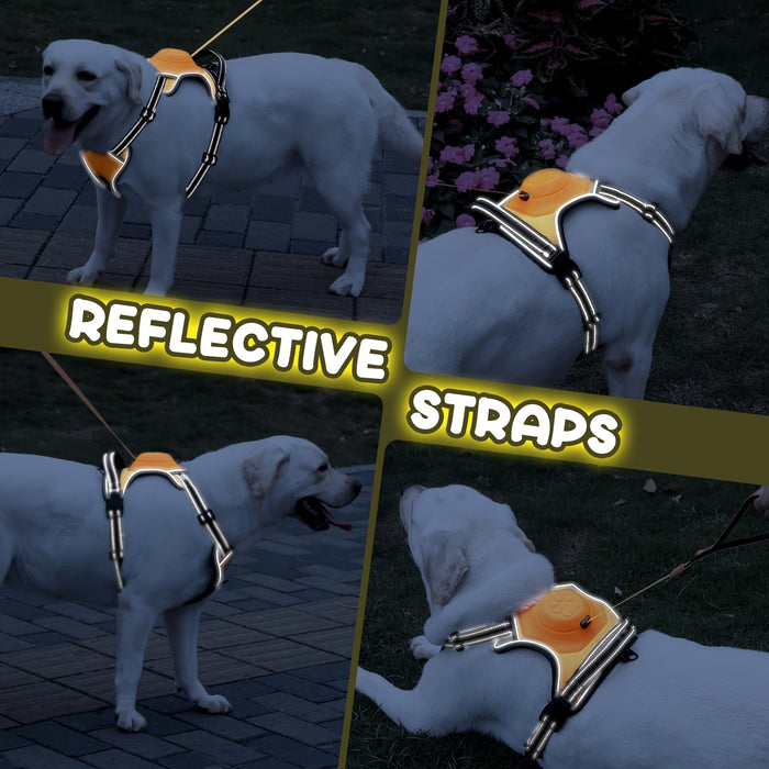 2 in 1 Dog Harness For Large Dogs with Retractable Dog Leash [Auto-Lock Function]