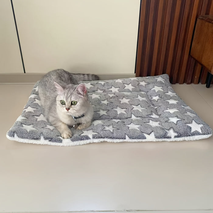 Thickened Warm Plush Blanket for Pets, Suitable for Cats And Dogs During Autumn And Winter.
