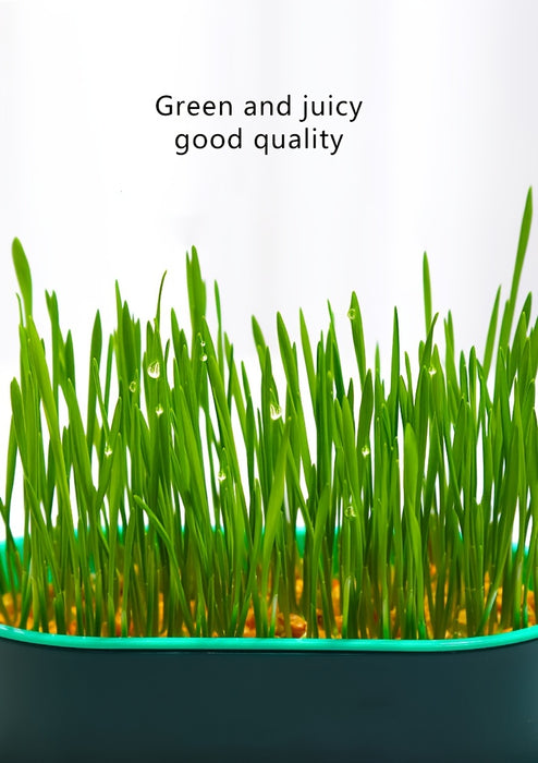 1pc, Hydroponic Grass Growing Pot For Improved Digestion And Health - Includes Greenhouse Grow Box (Seeds Not Included)